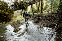 California Steelhead 2020