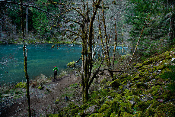 N. Umpqua Steelhead skagit