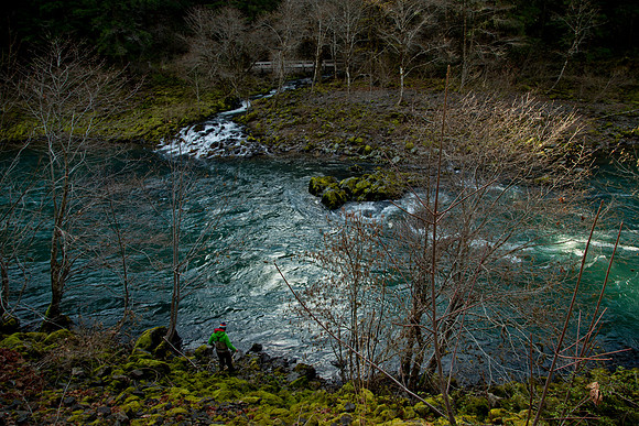 N. Umpqua Steelhead skagit