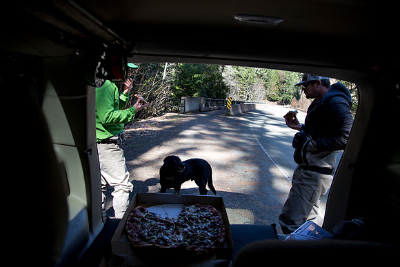 North Umpqua steelhead skagit