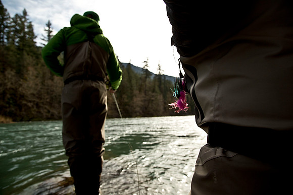 North Umpqua steelhead skagit