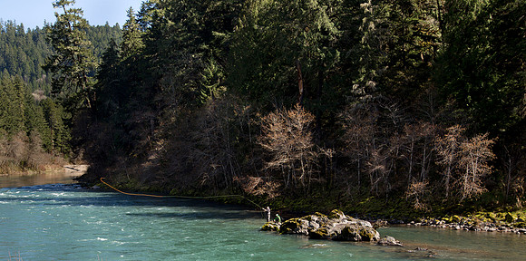 North Umpqua steelhead skagit