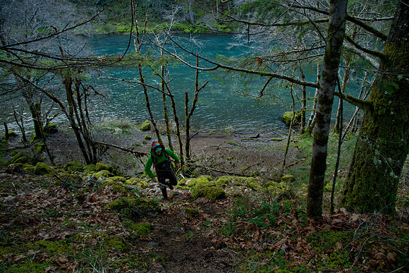 N. Umpqua Steelhead skagit